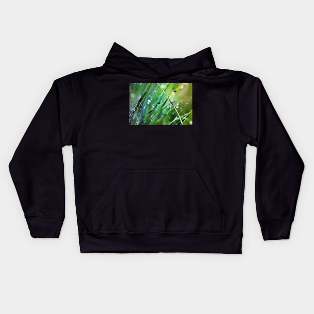 XO Kids Hoodie by micklyn